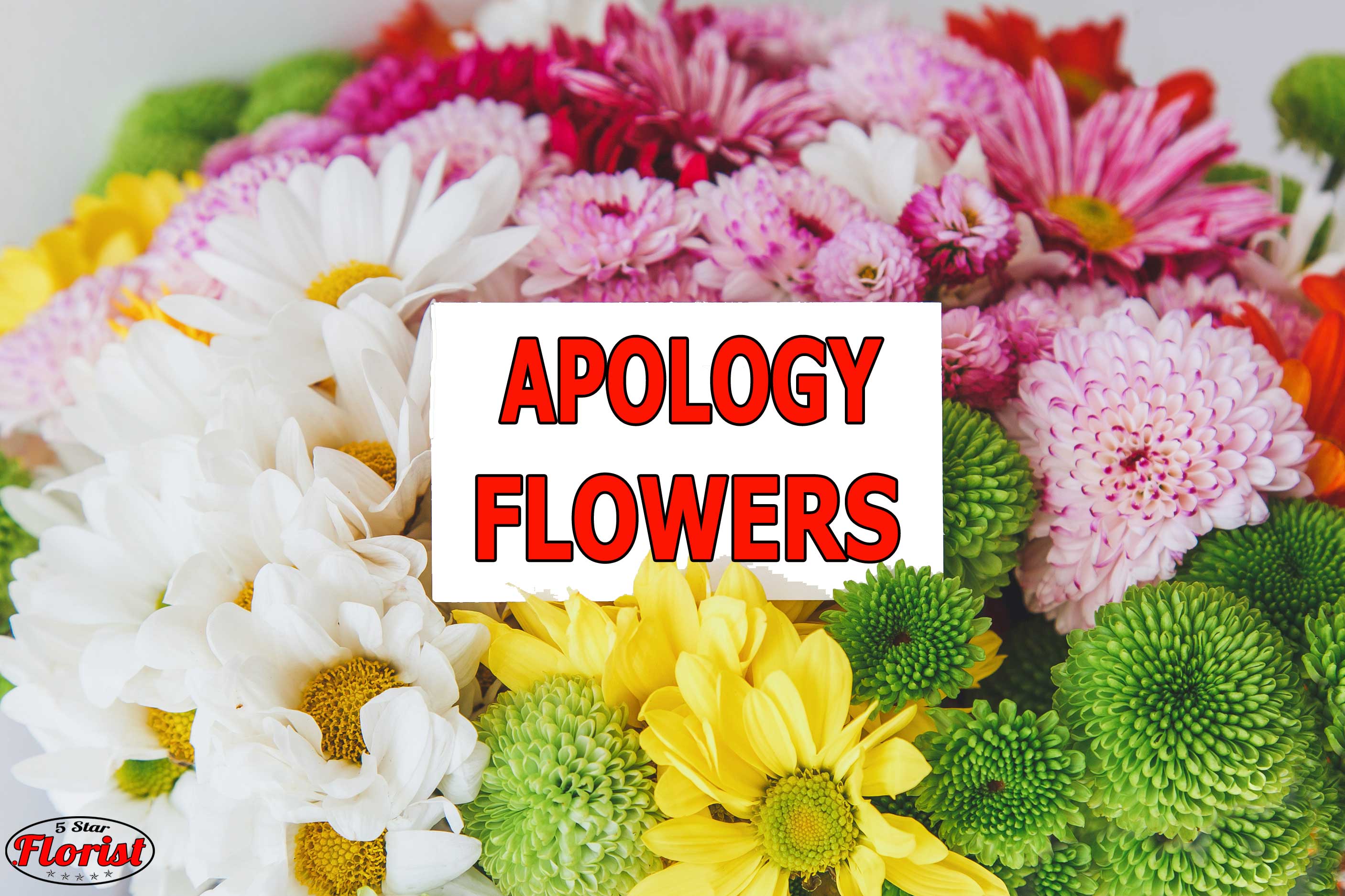 apology flowers Elk Grove