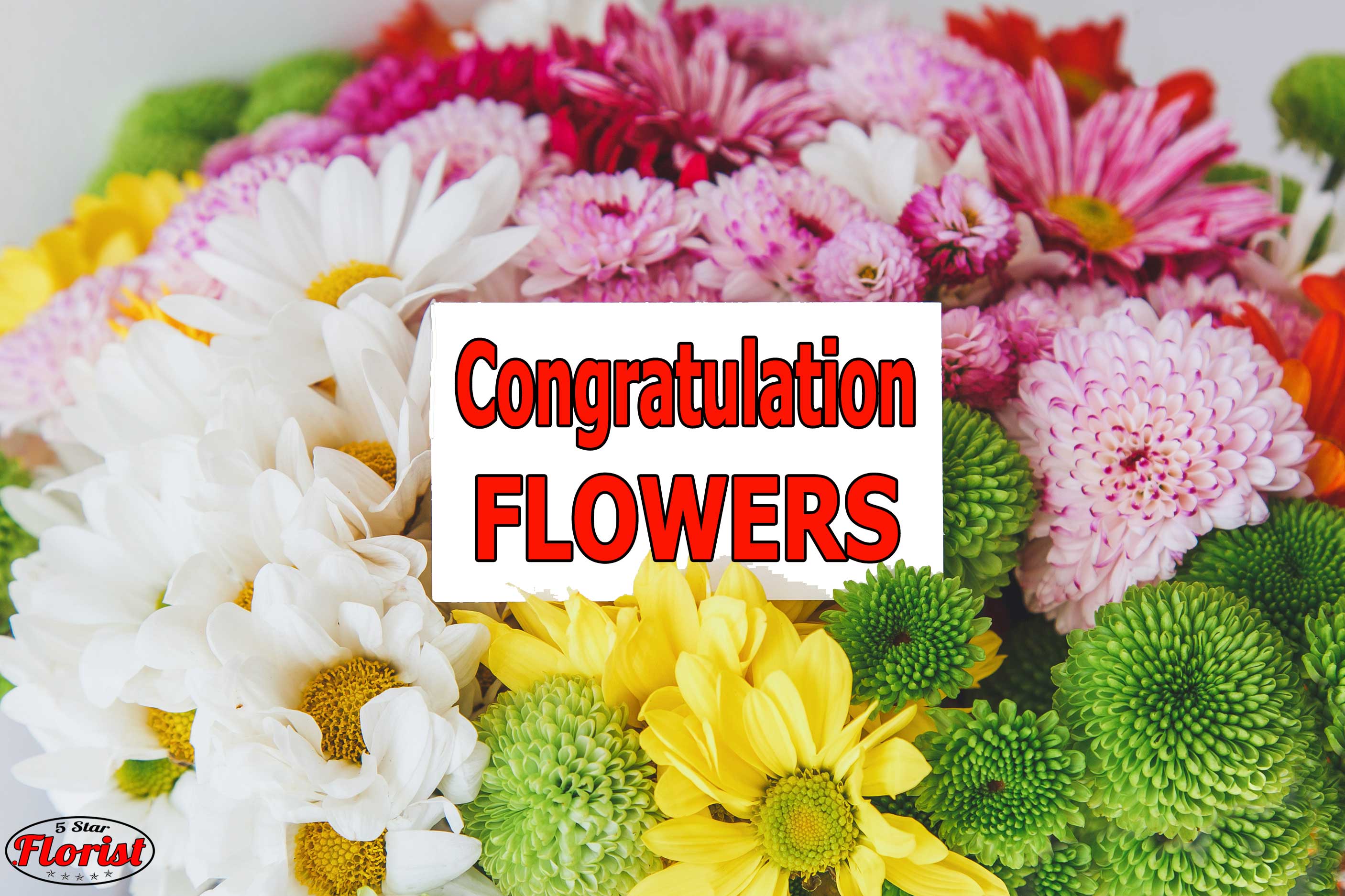 congratulations flowers Elk Grove