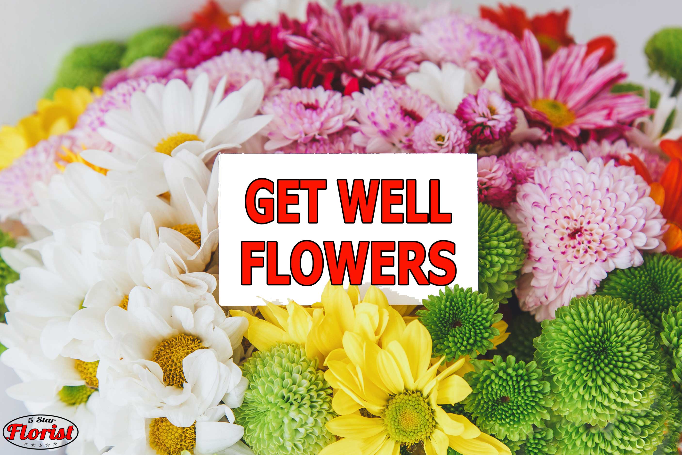 get well flowers Elk Grove